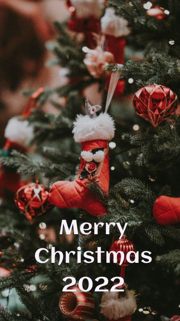Merry Christmas Wishes Images Status